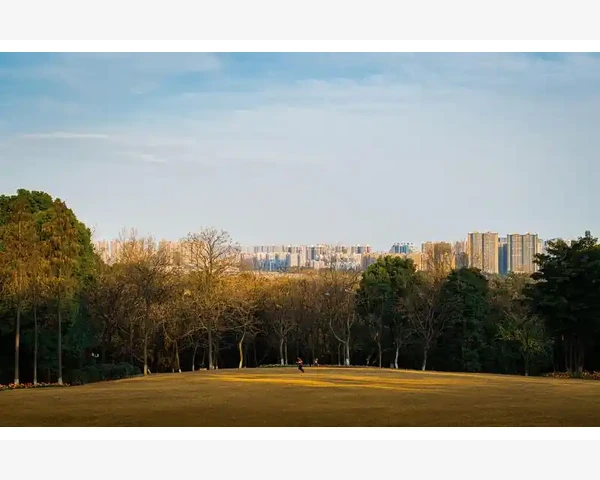 中医讲堂：调理脾胃，健康从这里开始